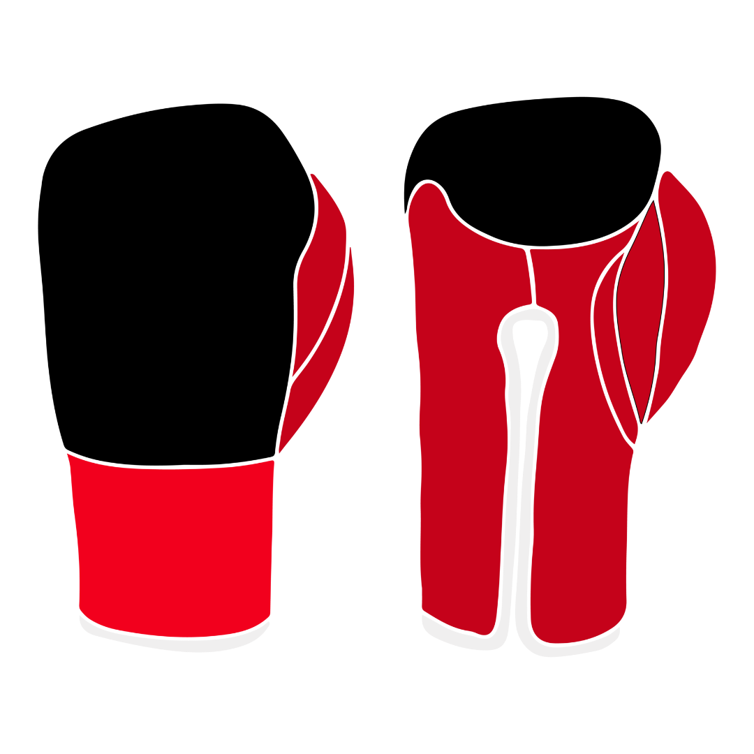 Laoch Boxing Custom-Made Gloves