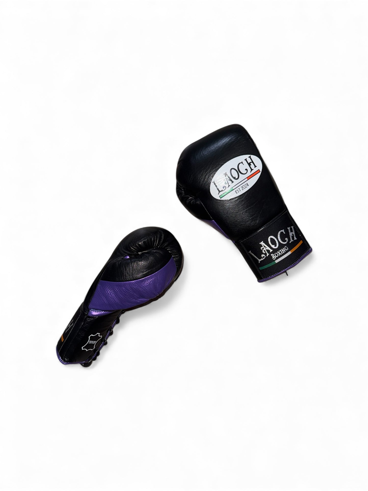 PRO FIGHT GLOVES